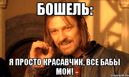 Бошель: Я просто красавчик, все бабы мои!, Мем Нельзя просто так взять и (Боромир мем)