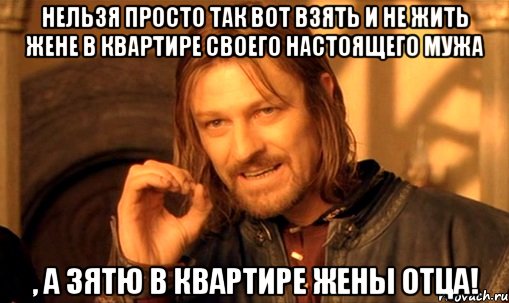 Нельзя просто так вот взять и не жить жене в квартире своего настоящего мужа , а зятю в квартире жены отца!, Мем Нельзя просто так взять и (Боромир мем)