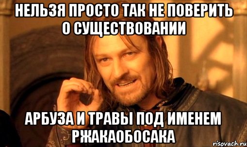 нельзя просто так не поверить о существовании арбуза и травы под именем ржакаобосака, Мем Нельзя просто так взять и (Боромир мем)