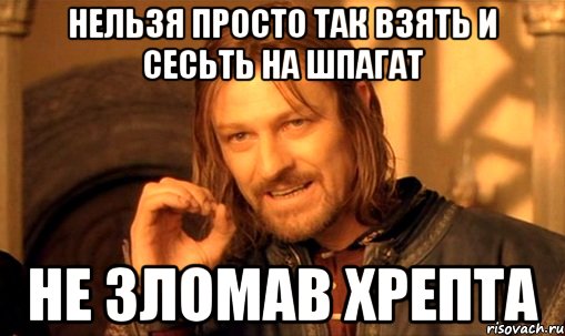 нельзя просто так взять и сесьть на шпагат не зломав хрепта, Мем Нельзя просто так взять и (Боромир мем)