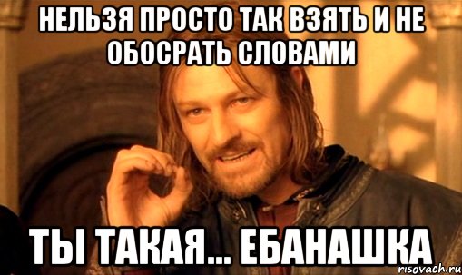 Нельзя просто так взять и не обосрать словами ТЫ ТАКАЯ... ЕБАНАШКА, Мем Нельзя просто так взять и (Боромир мем)