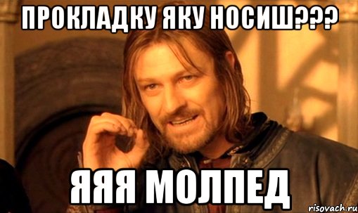 прокладку яку носиш??? яяя молпед, Мем Нельзя просто так взять и (Боромир мем)