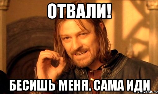 Отвали! Бесишь меня. Сама иди, Мем Нельзя просто так взять и (Боромир мем)