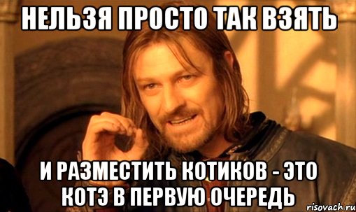 нельзя просто так взять И разместить котиков - это котэ в первую очередь, Мем Нельзя просто так взять и (Боромир мем)