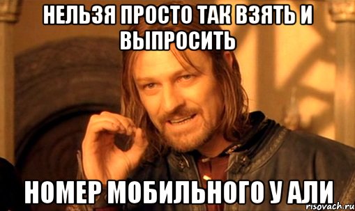 нельзя просто так взять и выпросить номер мобильного у Али, Мем Нельзя просто так взять и (Боромир мем)