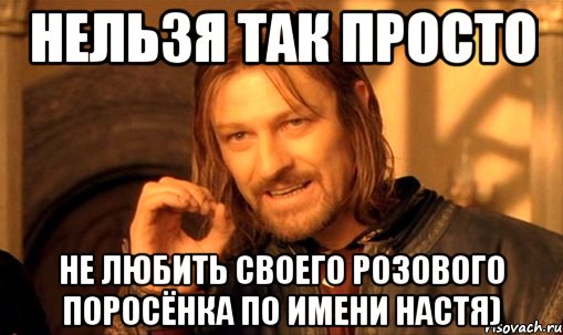 НЕЛЬЗЯ ТАК ПРОСТО НЕ ЛЮБИТЬ СВОЕГО РОЗОВОГО ПОРОСЁНКА ПО ИМЕНИ НАСТЯ), Мем Нельзя просто так взять и (Боромир мем)