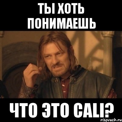 Ты хоть понимаешь Что это CALI?, Мем Нельзя просто взять