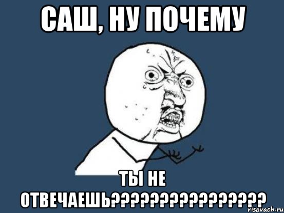 Саш, ну почему ты не отвечаешь????????????????, Мем Ну почему