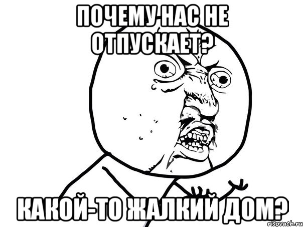 почему нас не отпускает? какой-то жалкий дом?, Мем Ну почему (белый фон)