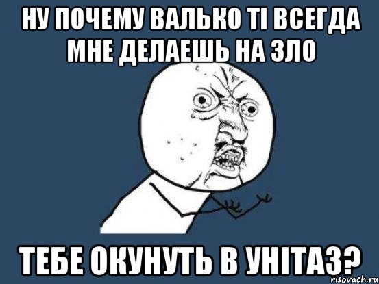 ну почему валько ті всегда мне делаешь на зло тебе окунуть в унітаз?, Мем Ну почему