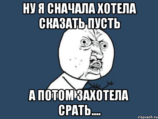 Ну я сначала хотела сказать пусть а потом захотела срать...., Мем Ну почему