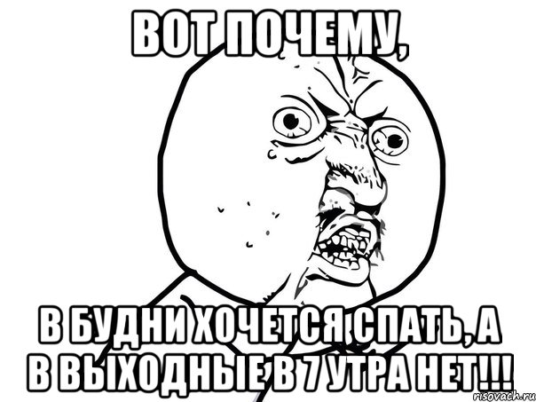 ВОТ ПОЧЕМУ, В БУДНИ ХОЧЕТСЯ СПАТЬ, А В ВЫХОДНЫЕ В 7 УТРА НЕТ!!!, Мем Ну почему (белый фон)