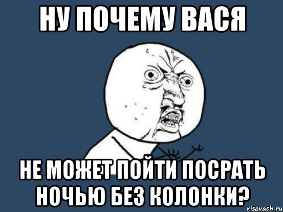 Ну почему Вася не может пойти посрать ночью без колонки?, Мем Ну почему