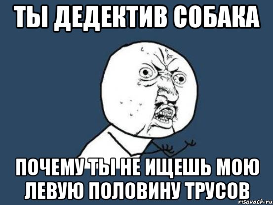 Ты дедектив собака почему ты не ищешь мою левую половину трусов, Мем Ну почему