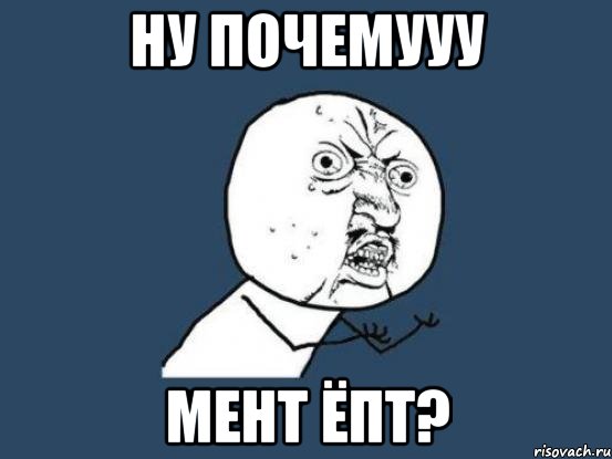 ну почемууу мент ёпт?, Мем Ну почему