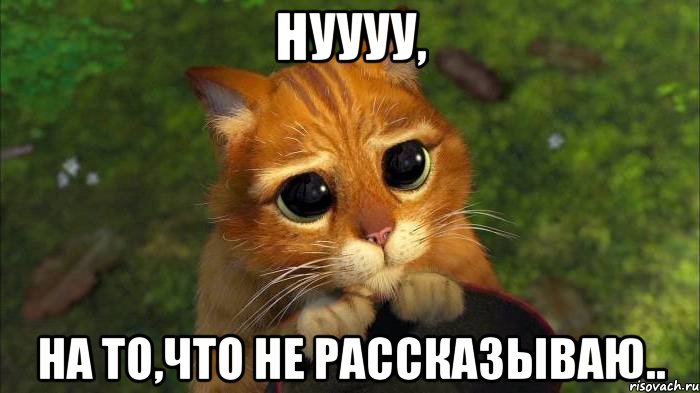 Нуууу, на то,что не рассказываю.., Мем кот из шрека