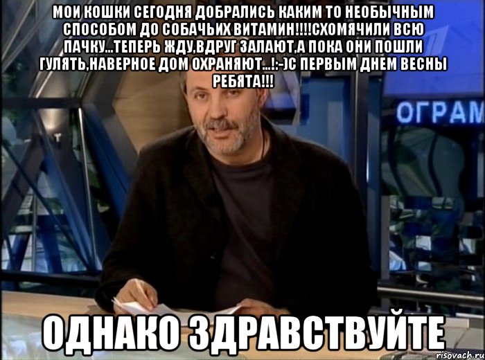 Мои кошки сегодня добрались каким то необычным способом до собачьих витамин!!!!Схомячили всю пачку...Теперь жду,вдруг залают,а пока они пошли гулять,наверное дом охраняют...!:-)С первым днем весны ребята!!! Однако здравствуйте, Мем Однако Здравствуйте