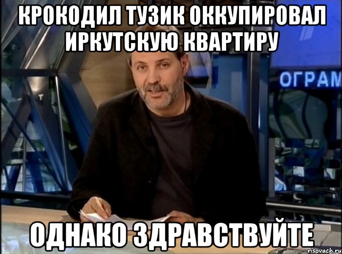 Крокодил Тузик оккупировал иркутскую квартиру Однако здравствуйте, Мем Однако Здравствуйте