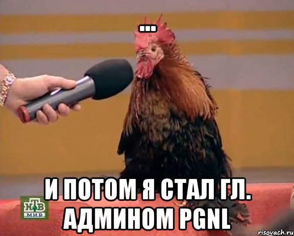 ... и потом я стал гл. админом PGNL