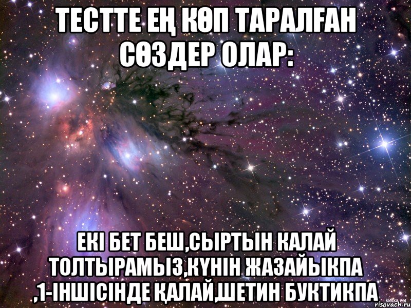 Тестте ең көп таралған сөздер олар: екі бет беш,сыртын калай толтырамыз,күнін жазайыкпа ,1-іншісінде қалай,шетин буктикпа, Мем Космос