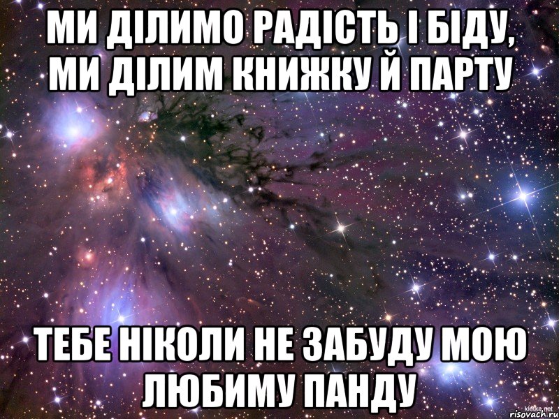 Ми ділимо радість і біду, ми ділим книжку й парту тебе ніколи не забуду мою любиму панду, Мем Космос