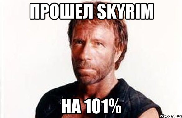 Прошел SKYRIM На 101%, Мем олдскул