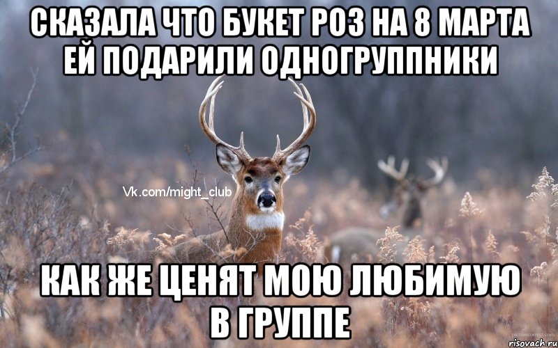 Сказала что букет роз на 8 марта ей подарили одногруппники Как же ценят мою любимую в группе, Мем   Наивный олень