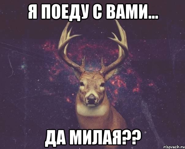 Я поеду с вами... Да милая??, Мем  олень наивный