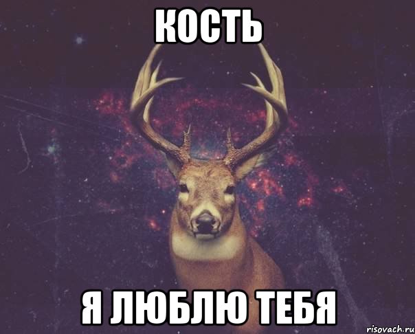 кость я люблю тебя