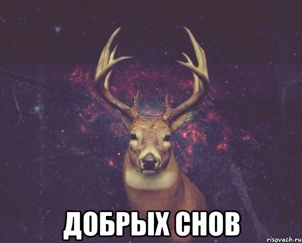  Добрых снов