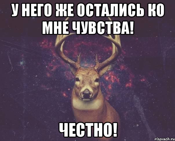 У него же остались ко мне чувства! Честно!