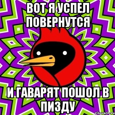 вот я успел повернутся и гаварят пошол в пизду, Мем Омская птица