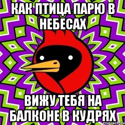 как птица парю в небесах вижу тебя на балконе в кудрях, Мем Омская птица