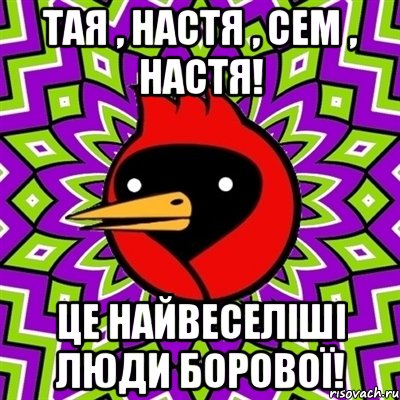 Тая , Настя , Сем , Настя! Це найвеселіші люди Борової!, Мем Омская птица