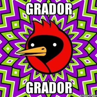 Grador grador, Мем Омская птица