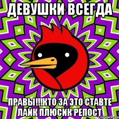 ДЕВУШКИ ВСЕГДА ПРАВЫ!!!кто за это ставте лайк плюсик репост, Мем Омская птица