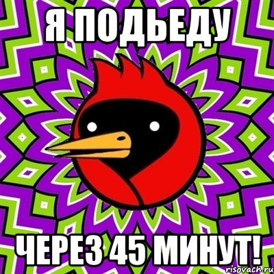 я подьеду через 45 минут!, Мем Омская птица