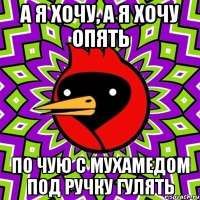 а я хочу, а я хочу опять по Чую с Мухамедом под ручку гулять, Мем Омская птица