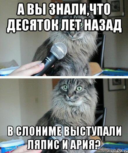 А вы знали,что десяток лет назад в Слониме выступали Ляпис и Ария?, Комикс  кот с микрофоном