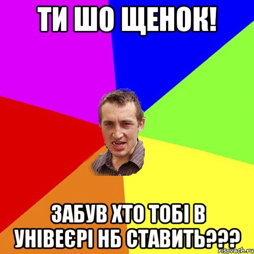 ти шо щенок! забув хто тобі в унівеєрі нб ставить???, Мем Чоткий паца