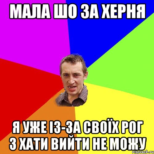 Мала шо за херня Я уже із-за своїх рог з хати вийти не можу, Мем Чоткий паца