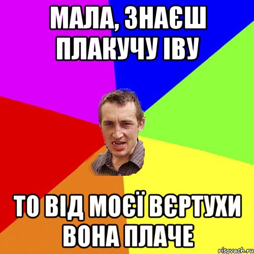 мала, знаєш плакучу іву то від моєї вєртухи вона плаче, Мем Чоткий паца