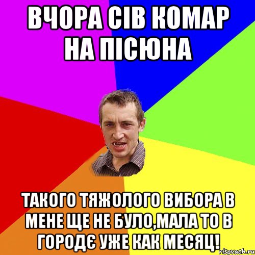 Вчора сів комар на пісюна Такого тяжолого вибора в мене ще не було,мала то в городє уже как месяц!, Мем Чоткий паца