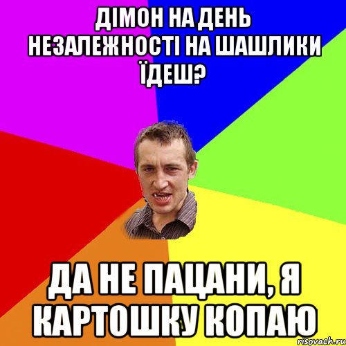 дімон на день незалежності на шашлики їдеш? да не пацани, я картошку копаю, Мем Чоткий паца