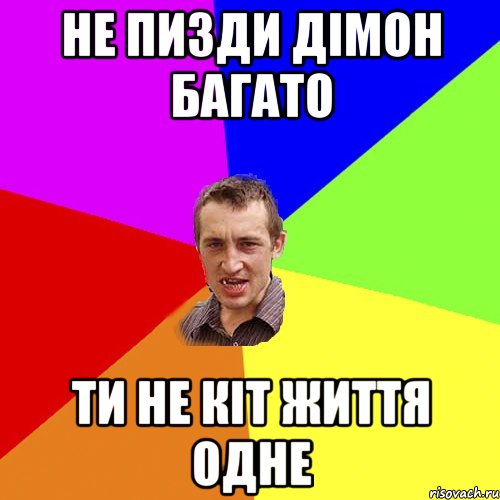 не пизди дімон багато ти не кіт життя одне, Мем Чоткий паца