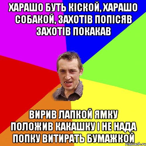 харашо буть кіской, харашо собакой, захотів попісяв захотів покакав вирив лапкой ямку положив какашку і не нада попку витирать бумажкой, Мем Чоткий паца