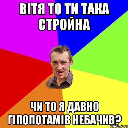 ВІТЯ то ти така стройна чи то я давно гіпопотамів небачив?, Мем Чоткий паца