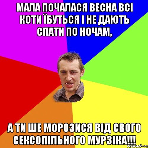 мала почалася весна всі коти їбуться і не дають спати по ночам, а ти ше морозися від свого сексопільного МУРЗІКА!!!, Мем Чоткий паца