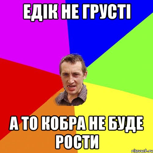 Едік не грусті а то кобра не буде рости, Мем Чоткий паца