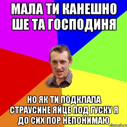 мала ти канешно ше та господиня но як ти подклала страусине яйце под гуску я до сих пор непонимаю, Мем Чоткий паца